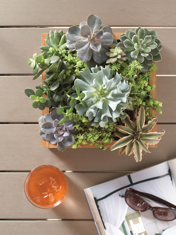 Pinterest 100 Home Style Trends