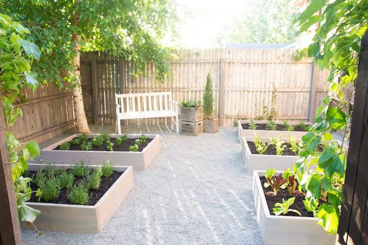 Raised Herb Garden: An Outdoor Space Makeover