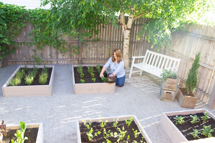 Raised Herb Garden: An Outdoor Space Makeover