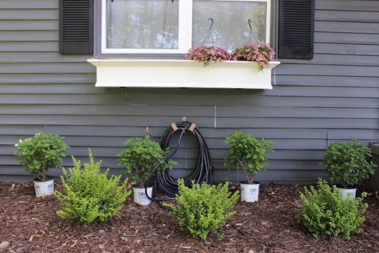 Easy Curb Appeal Transformation