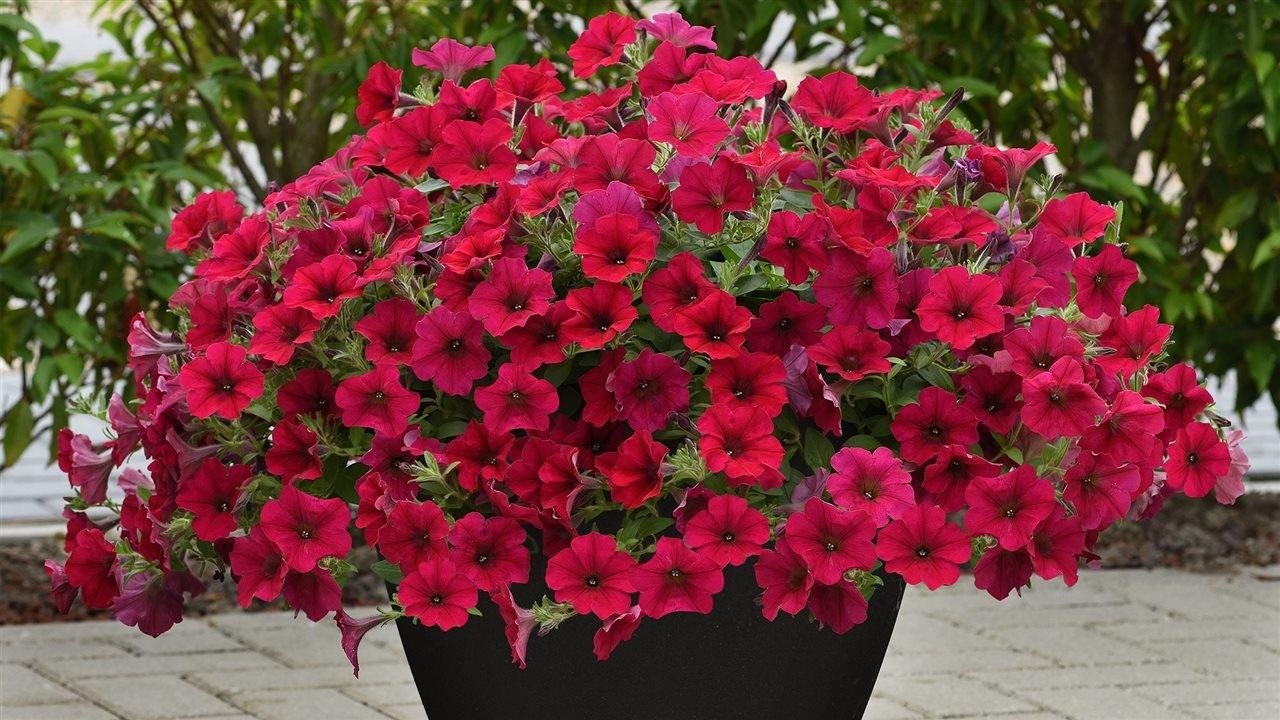 Seasonal trends to inspire and add style to your outdoor space