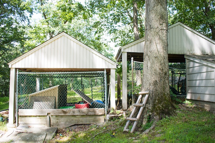 How to Hide a Chain Link Fence to Add Curb Appeal