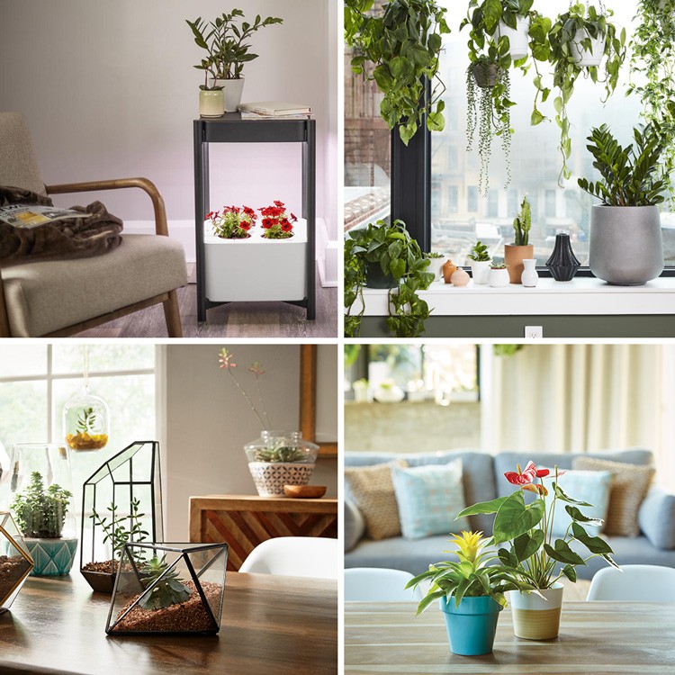 10 Plant Lover Gift Ideas for This Holiday Season